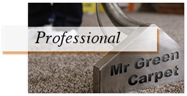 Professional Green Carpet Cleaning in New York