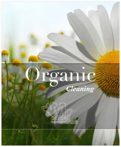 Organic Carpet Cleaning